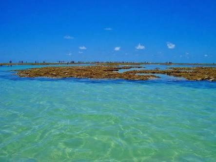 Palm Village - O Melhor De Cupe E Porto Pôrto das Galinhas Екстериор снимка